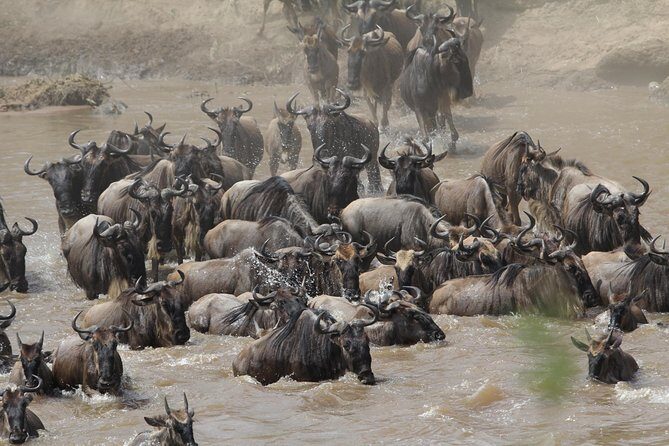 3 Days Camping Safari Tarangire, Lake Manyara and Ngorongoro Crater - Camping Safari Reality: Tents, Mattresses, and Your Best Gear Choices