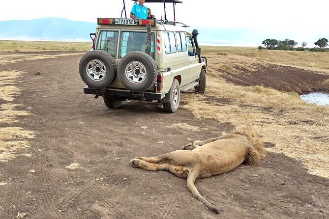 3 Days Exploring Serengeti & Ngorongoro Crater from Arusha - Price and value: what you’re paying for (and what it includes)