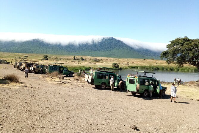 3 Days Exploring Serengeti & Ngorongoro Crater from Arusha - What to expect from the wildlife (without counting on guarantees)