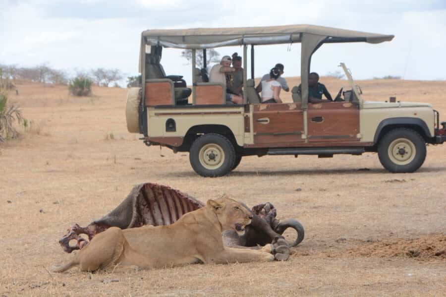 3 Days Flight Package Zanzibar to Nyerere/Selous - Key things to know before you go