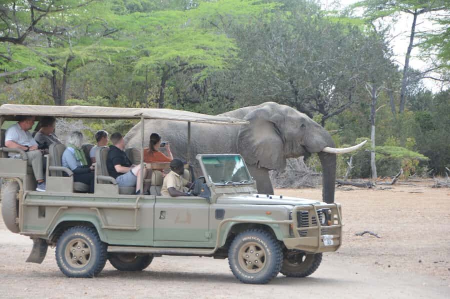 3 Days Flight Package Zanzibar to Nyerere/Selous - Day 2: Bushman walking safari, Mloka village tour, and Rufiji River boat time