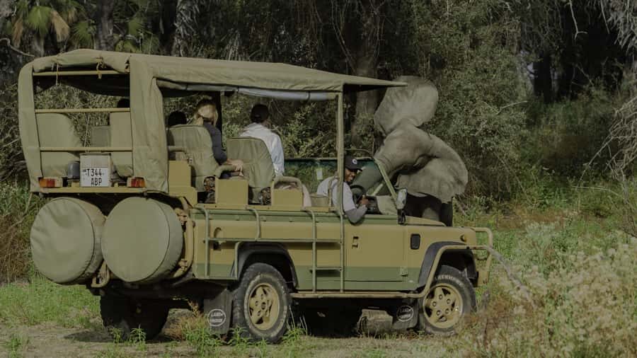3 Days Flight Package Zanzibar to Nyerere/Selous - Price and logistics: is $1,080 good value?