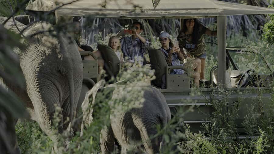 3 Days Flight Package Zanzibar to Nyerere/Selous - Should you book this Zanzibar to Nyerere flight safari?