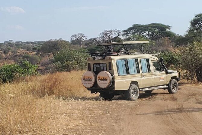 3 Days Fly in & Out Serengeti Park - Who this safari suits best in 3 days