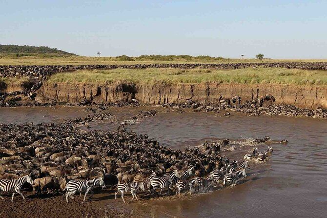 3 Days Group Joining Serengeti and Ngorongoro Safari - Day 3 at Ngorongoro: Early Descent, Long Game Drive, and Hippo Pool Time