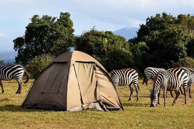 3 Days Joined Group Safari Ngorongoro,Lake Manyara and Tarangire National Park - Day 1: Tarangire National Park game drives and picnic lunches