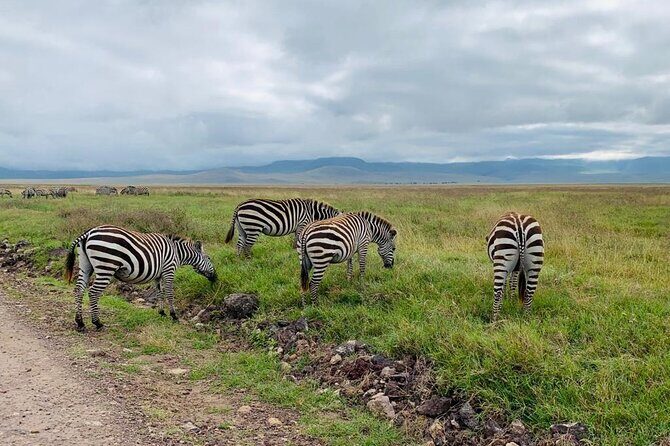 3 Days Lake Manyara, Tarangire, Ngorongoro Crater group (Camping) - Pickup, timing, and how the three-park route works logistically