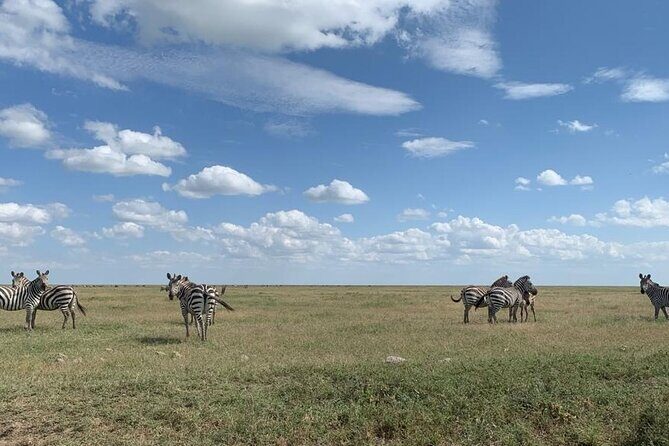 3 Days Lake Manyara, Tarangire, Ngorongoro Crater group (Camping) - Lake Manyara for a final full day: another round of game viewing before Arusha drop-off
