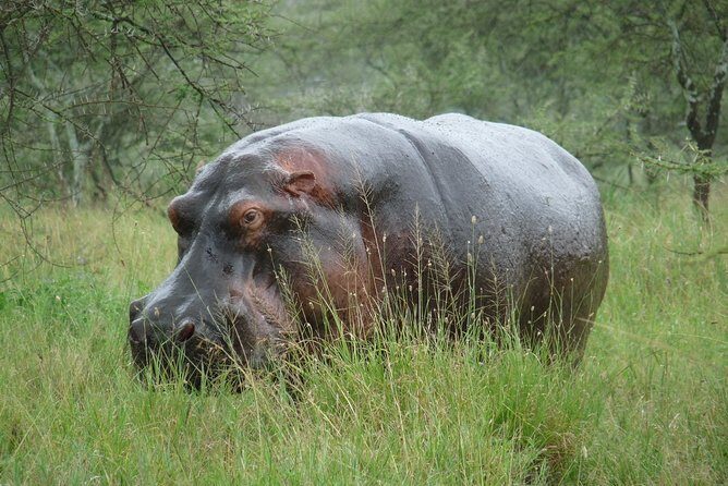 3 Days Lodge Safari - Lodge night in Karatu: what rest actually means here