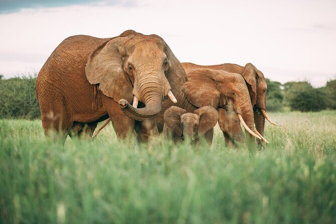 3-Days Lodge Safari in Tarangire, Ngorongoro Crater & Lake Manyara - Arusha start point, timing, and how pickup really matters