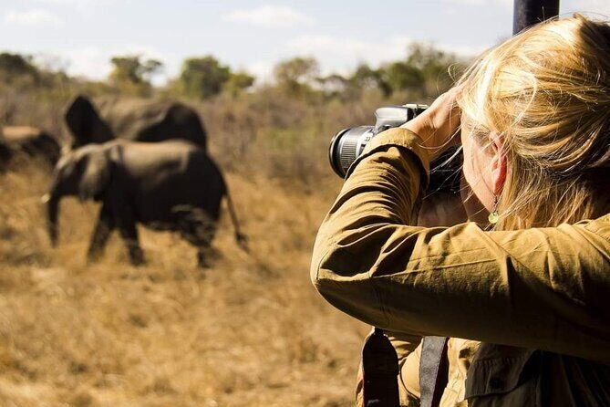 3-Days Lodge Safari in Tarangire, Ngorongoro Crater & Lake Manyara - Price and value: $1,265 per person and what you gain