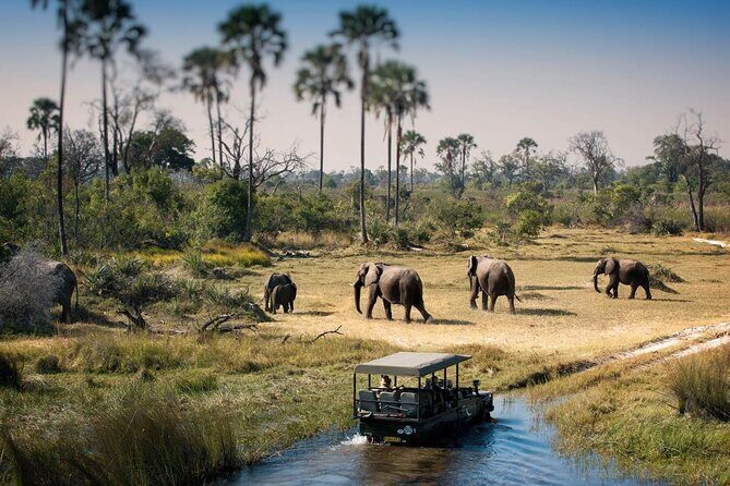 3-Days Lodge Safari in Tarangire, Ngorongoro Crater & Lake Manyara - Day 1 in Tarangire: river elephants and baobab country