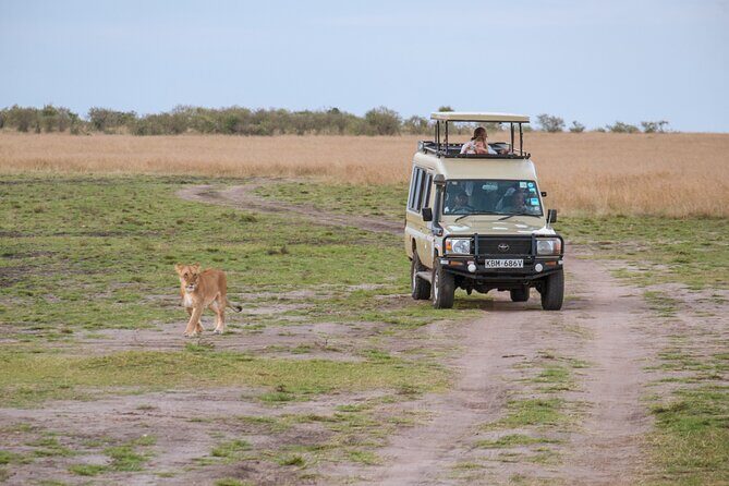 3 days Luxury Safari Tour in Tanzania - Moshi as a smart base for a luxury crater safari