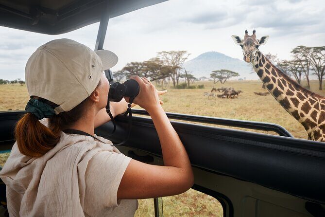 3 days Luxury Safari Tour in Tanzania - Day 1 in Tarangire: elephants, baobabs, and a proper picnic