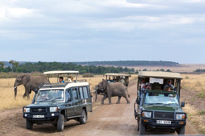 3 days Luxury Safari Tour in Tanzania - Day 2 in Lake Manyara: birds, baboons, and the tree-lion question
