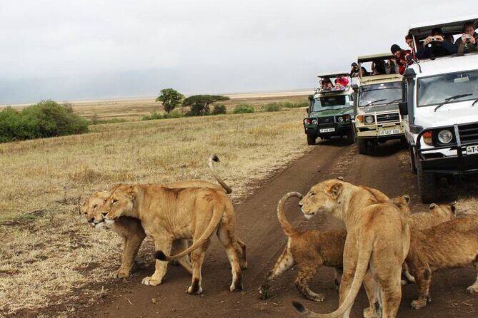 3 days Luxury Safari Tour in Tanzania - Price and value: what $3,743 per person really covers