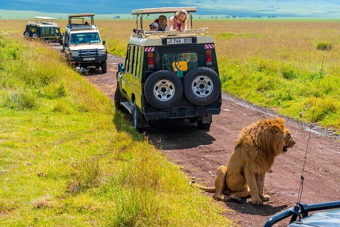 3 days Luxury Safari Tour in Tanzania - The 6-person custom jeep and why it changes your game drives