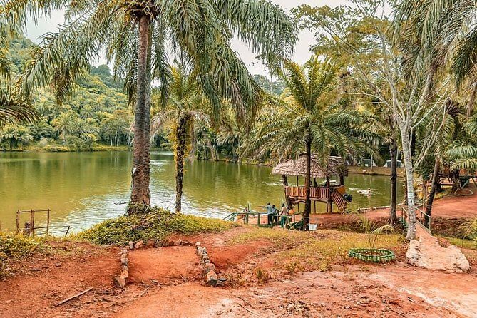 3 Days Magoroto forest tour - The best parts, based on the kind of praise that actually matters