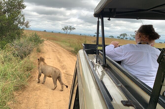 3 Days Mikumi National Park Private Tour - Key reasons this Mikumi safari feels worth it