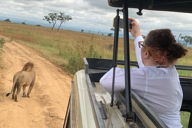 3 Days Mikumi National Park Private Tour - Private tour advantages: pickup, meals, and a schedule that makes sense