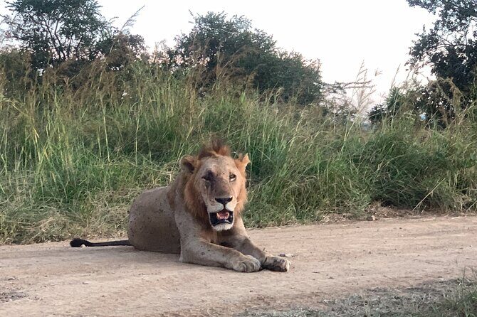 3 Days Mikumi National Park Private Tour - Day 2: 6:00 AM start, predator-and-water focus, then Camp Bastian