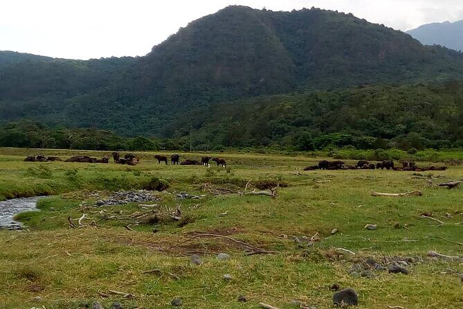 3 Days Mount Meru Trek - Why Mount Meru is a smart warm-up for Kilimanjaro altitude