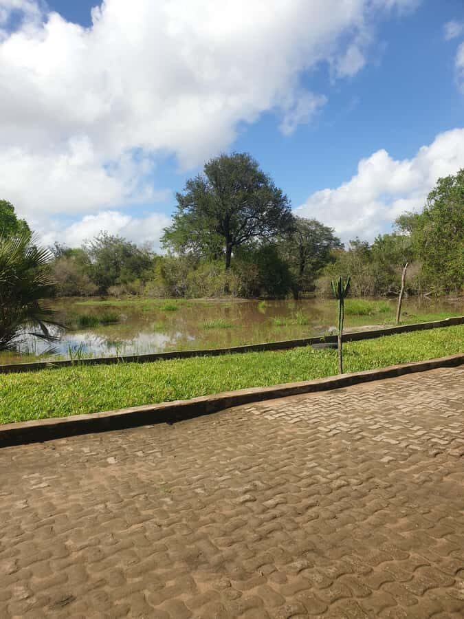 3 DAYS NYERERE NATIONAL PARK FROM ZANZIBAR BY FLIGHT. - Selous Safari Lodge: where you reset between wild hours