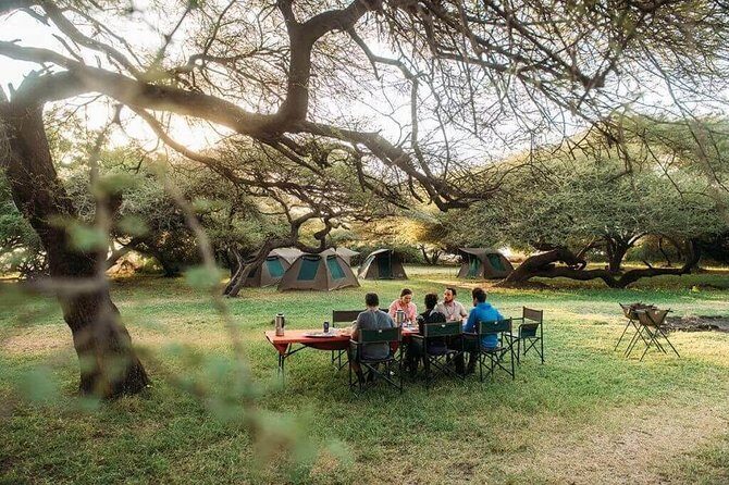 3 Days of Camping Bliss in Serengeti and Ngorongoro Crater - Day 1 in Serengeti: afternoon game drive plus Central Serengeti camping