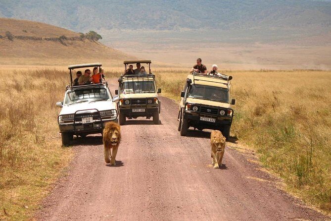 3 Days of Camping Bliss in Serengeti and Ngorongoro Crater - Day 3 Ngorongoro Crater morning: the Garden of Eden feeling