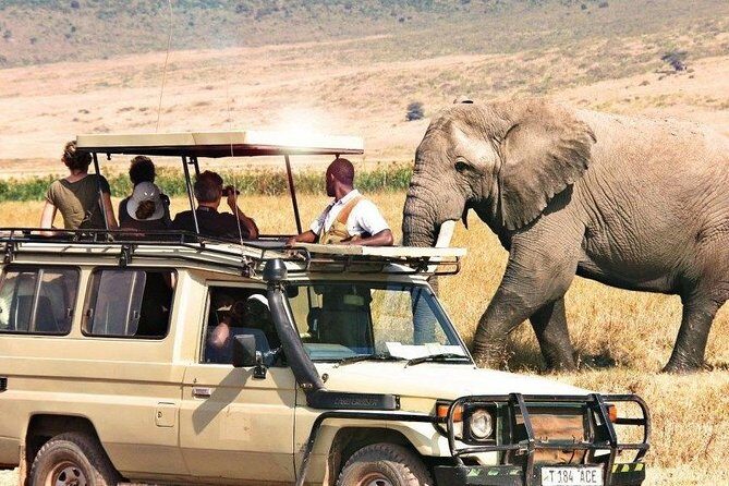 3 Days of Camping Bliss in Serengeti and Ngorongoro Crater - Who this safari is best for (and who might feel off)