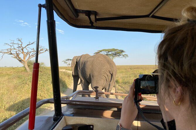3 Days Private Budget Safari to Tarangire and Ngorongoro Crater - Day 2 in Tarangire National Park: elephants, baobabs, and long game drives