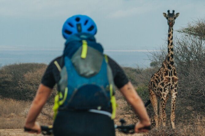 3 Days Private E-Bike Tour in West Kilimanjaro - Day 2: Dry Arid Grasslands, Wildlife Chances, and Gravel That Means Business