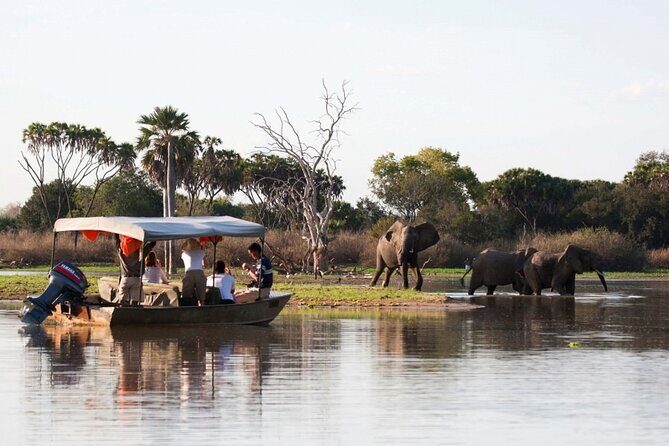 3-Days Private Nyerere NP Game Drive and Boat safari tour - Why This Nyerere Private Safari Works So Well