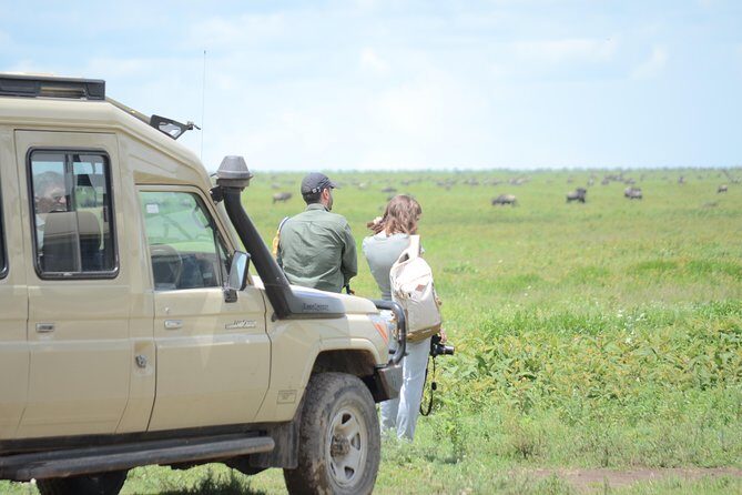 3 Days private safari Tarangire ,Ngorongroro crater &Manyara - Entering Tarangire: elephants, baobabs, and predator odds that feel realistic