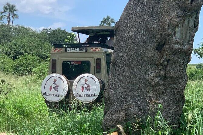 3 days safari in North- Ngorongoro, Tarangire, Mt. Oldeani - Day 2: Lake Eyasi and Mount Oldeani—Early Start, Big Views, Moderate Effort