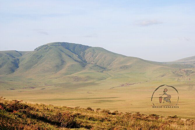 3 days safari in North- Ngorongoro, Tarangire, Mt. Oldeani - Day 3: Tarangire National Park for Elephants, Quiet Safari Energy, and Birding
