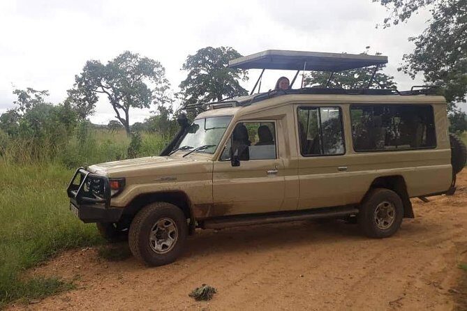 3 Days Safari - Mikumi National Park - Price and Value: Is $900 for 3 Days Reasonable?