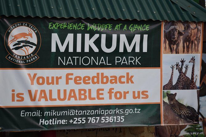 3 days safari to Mikumi and Udzungwa - Dar es Salaam to Mikumi: road time you can use wisely