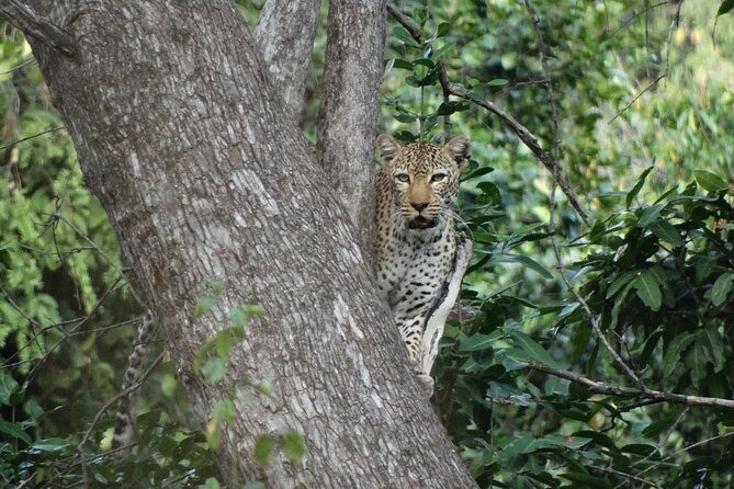 3 Days Safari to Nyerere National Park (Selous Game Reserve) - The long drive from Dar es Salaam that sets the tone