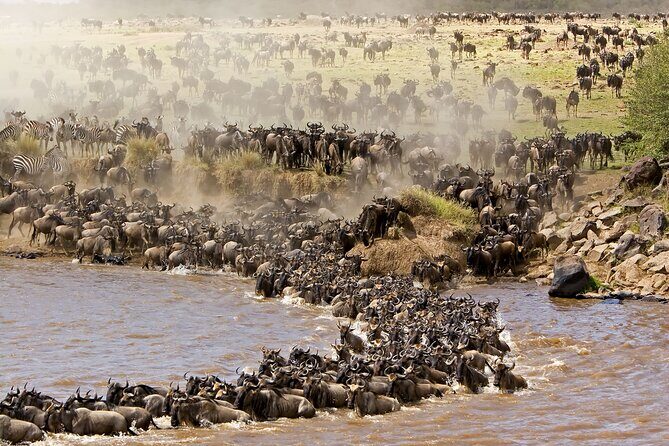 3 days Safari to Tarangire, Ngorongoro and Manyara from Zanzibar - From Zanzibar to Arusha: Where the Safari Begins