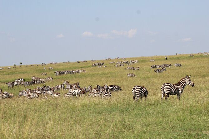 3 Days Safari Tour in Lake Manyara and Ngorngoro - Key highlights you’ll care about