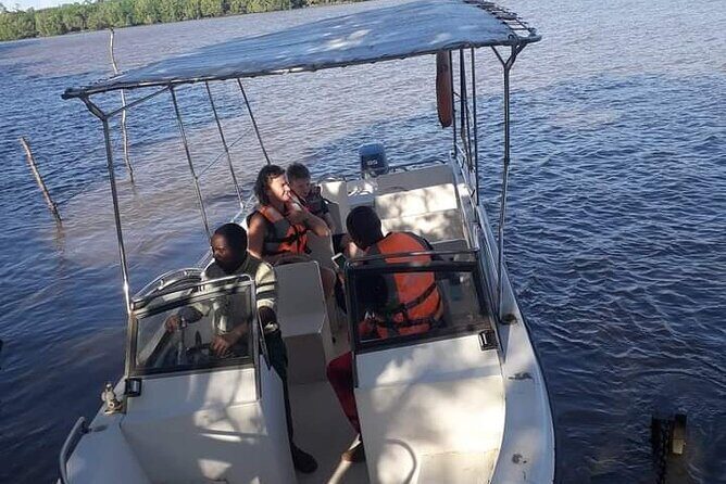 3 Days Selous Game Reserve Fly From Zanzibar - Guides, Guides, Guides: What the Best Moments Rely On