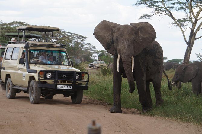 3 Days Serengeti and Ngorongoro Crater Safari from Mwanza to Arusha - Key things to know before you go