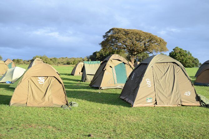 3 Days Serengeti & Ngorongoro Crater group safari - Jeep comfort, guides, meals, and the small touches that matter