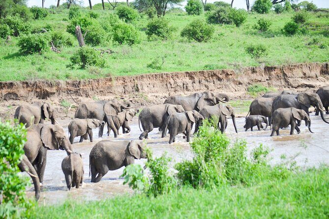 3 Days Serengeti & Ngorongoro Crater group safari - Who should book this safari (and who might want a different style)
