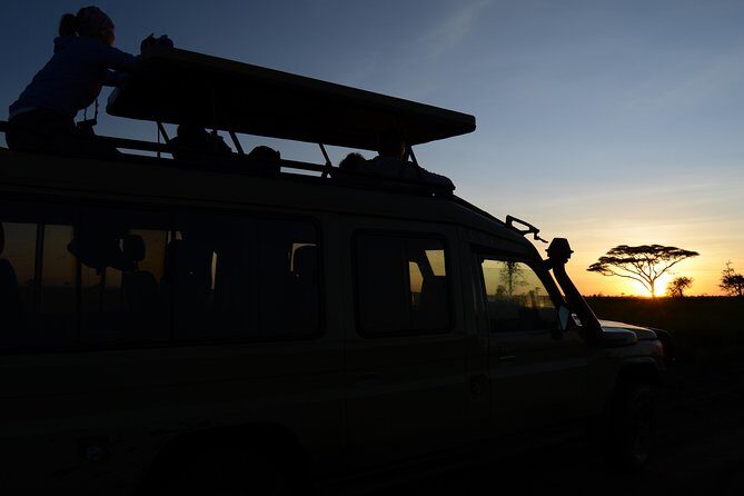 3 Days Serengeti & Ngorongoro Lodge Safari - Day 1: Serengeti arrival with a crater viewpoint stop and optional Maasai culture