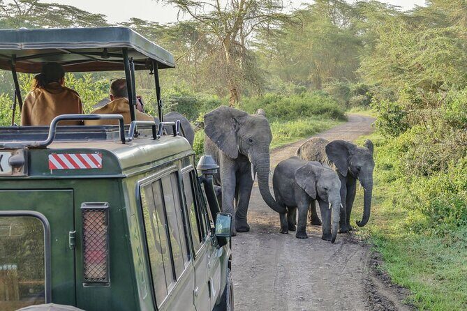 3 Days Serengeti Park & Ngorongoro Crater Adventure Safari - Three days, two star parks: what this safari is really about