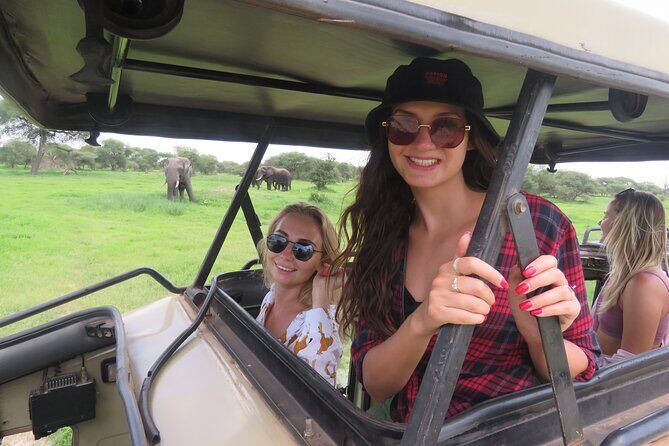 3 Days Tanzania group join safari - Serengeti & Ngorongoro crater - Serengeti Day: Morning Game Drive, Then a Lunch-Box Rhythm