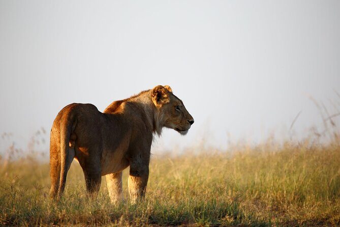 3 Days Tanzania Safari to Manyara Tarangire and Ngorongoro - How the schedule feels: early starts, long drives, and real group flow