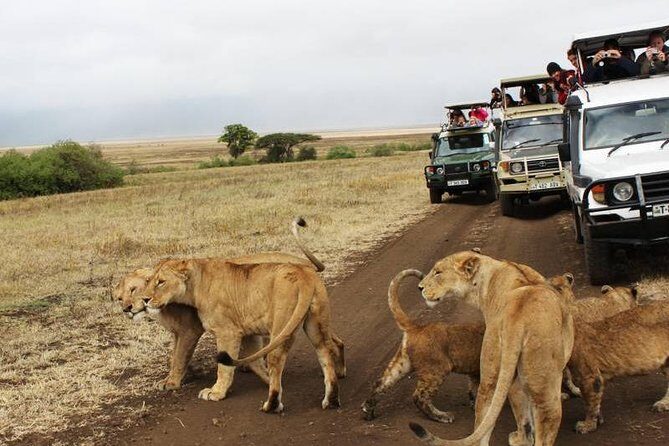 3-Days Tanzania Safari Tours - Price and logistics: what $1,140 per person buys you in real terms